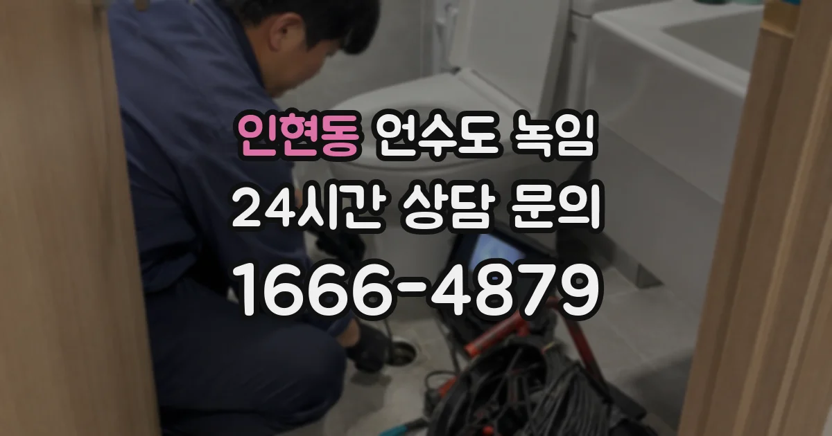 인현동 언수도 녹임