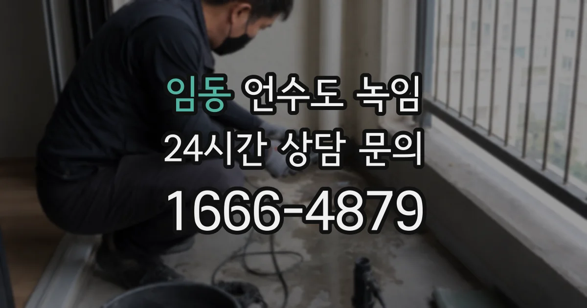 임동 언수도 녹임