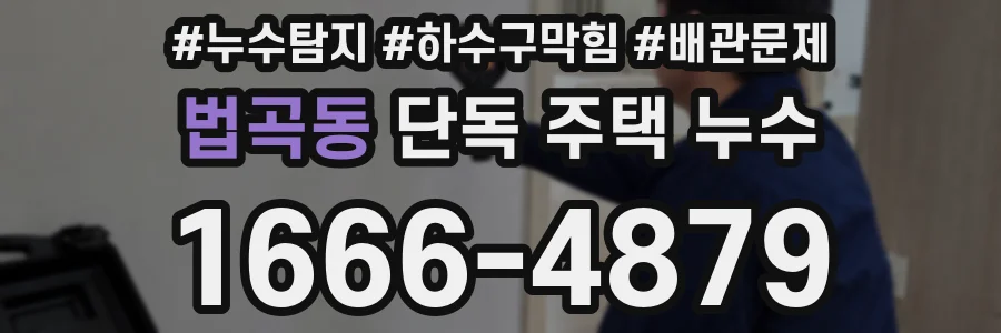 법곡동 단독 주택 누수