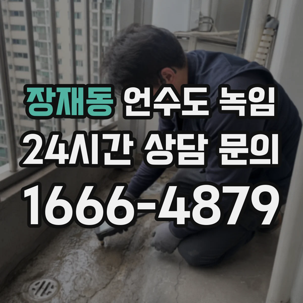 장재동 언수도 녹임