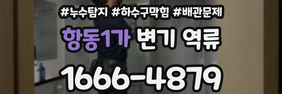 항동1가 변기 역류