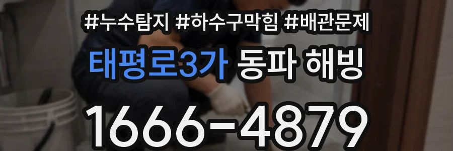 태평로3가 동파 해빙