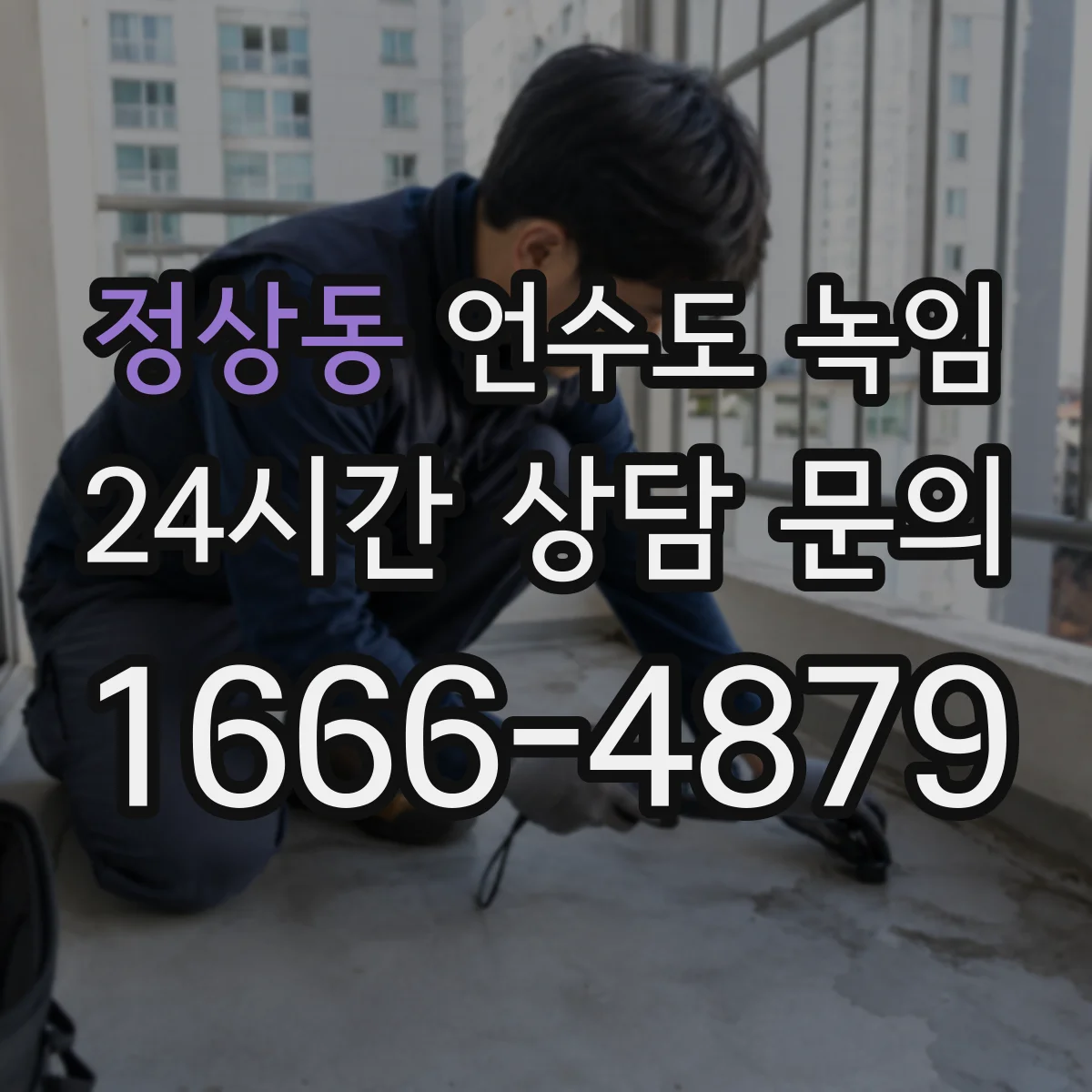 정상동 언수도 녹임