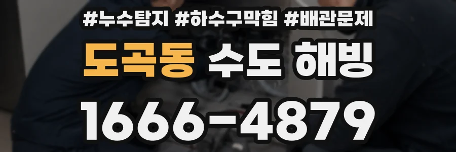 도곡동 수도 해빙