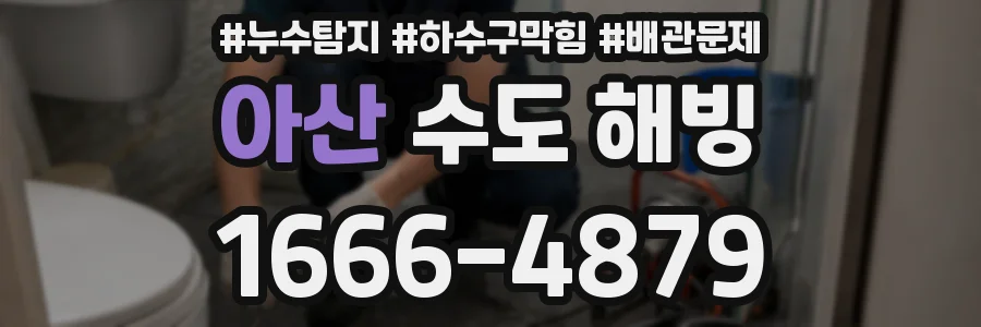 아산 수도 해빙