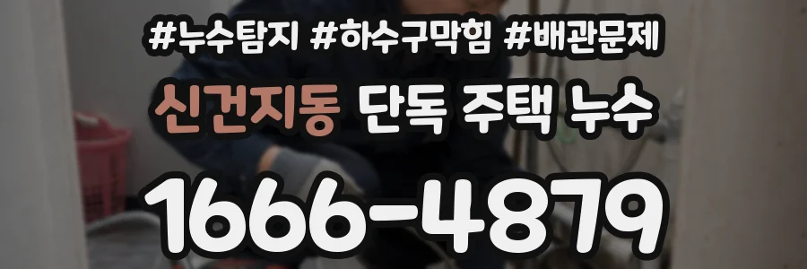 신건지동 단독 주택 누수