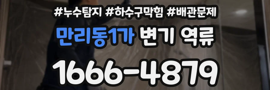 만리동1가 변기 역류