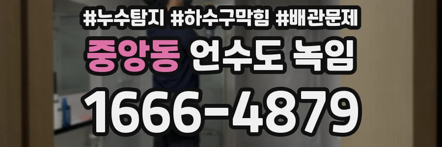 중앙동 언수도 녹임