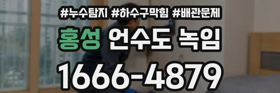 홍성 언수도 녹임