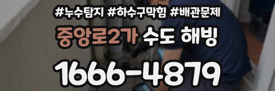 중앙로2가 수도 해빙