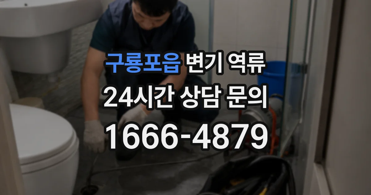 구룡포읍 변기 역류