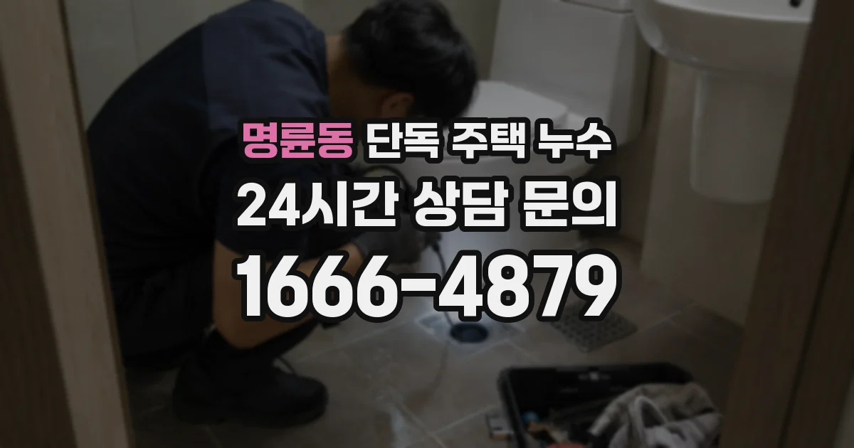 명륜동 단독 주택 누수