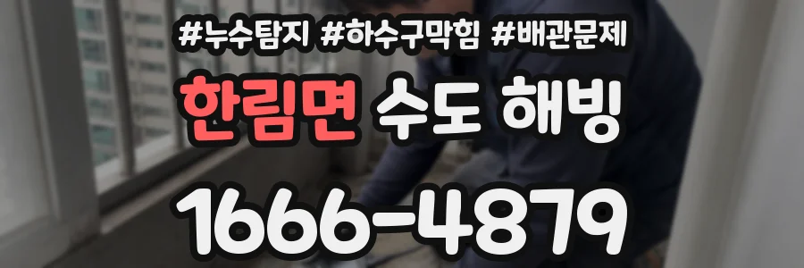 한림면 수도 해빙