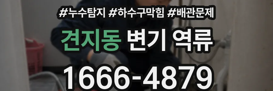 견지동 변기 역류
