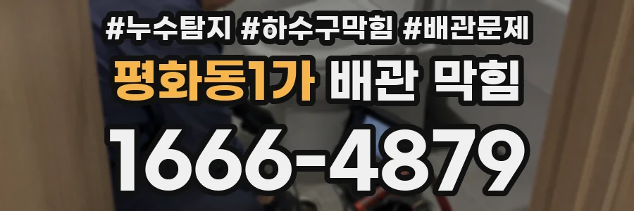평화동1가 배관 막힘