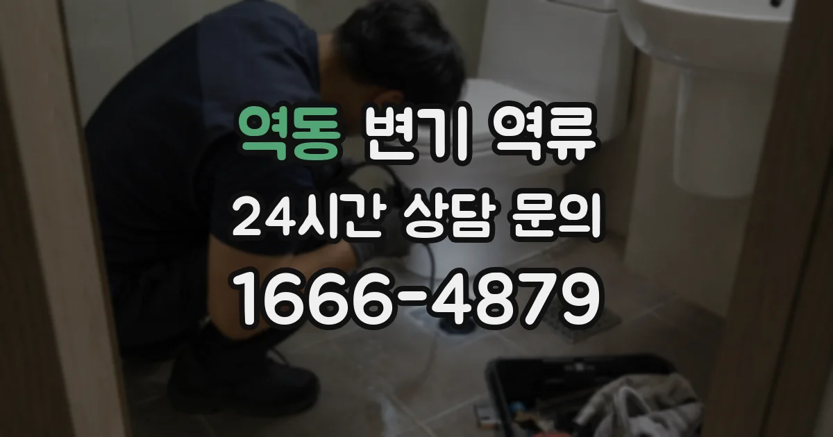 역동 변기 역류