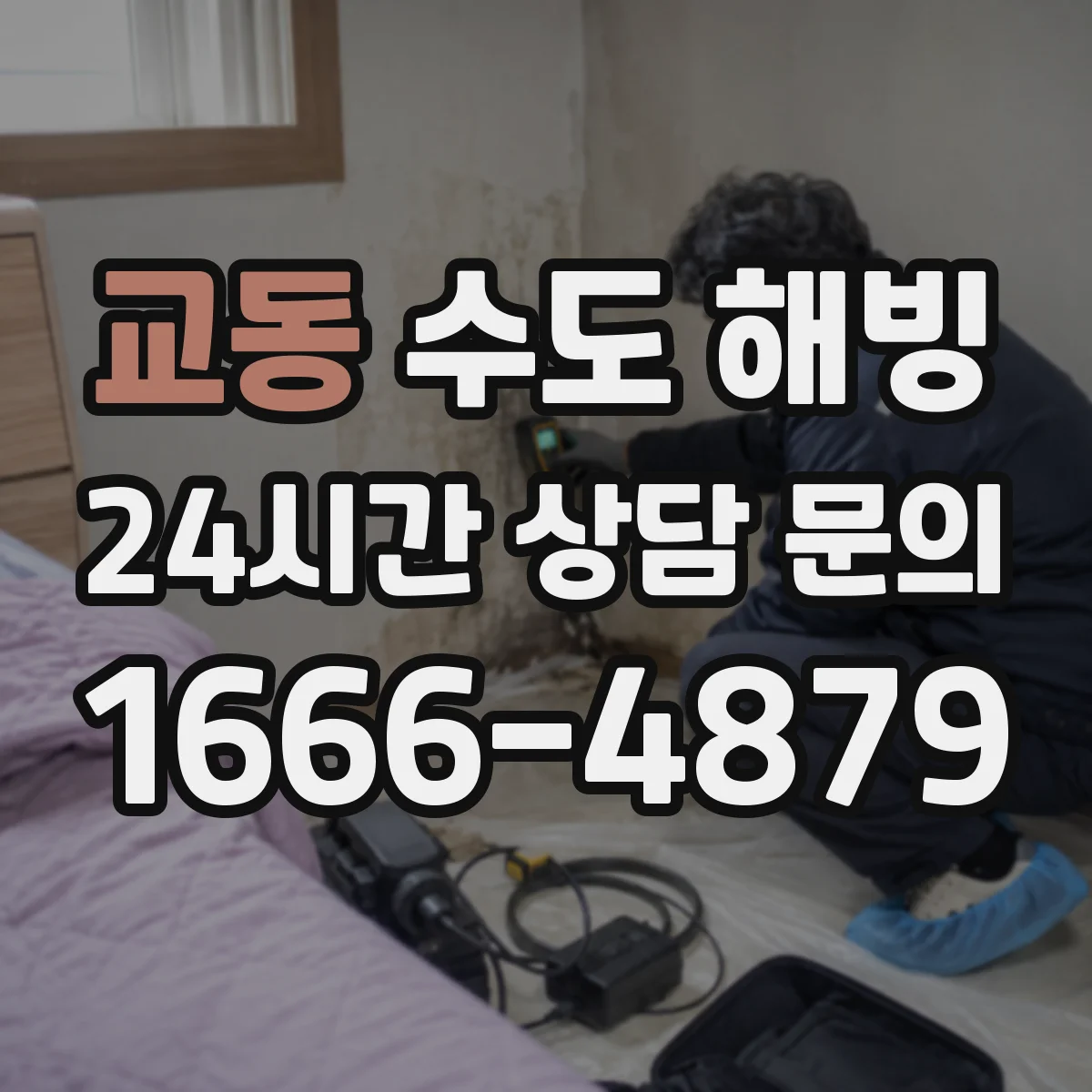 교동 수도 해빙
