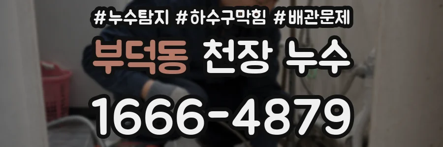 부덕동 천장 누수