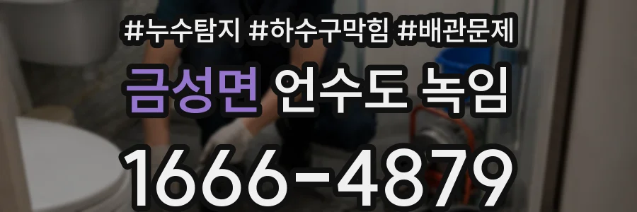 금성면 언수도 녹임