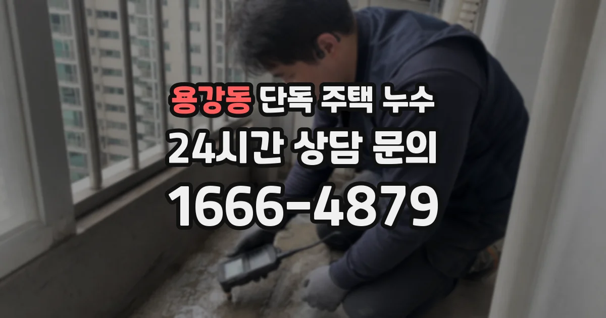 용강동 단독 주택 누수