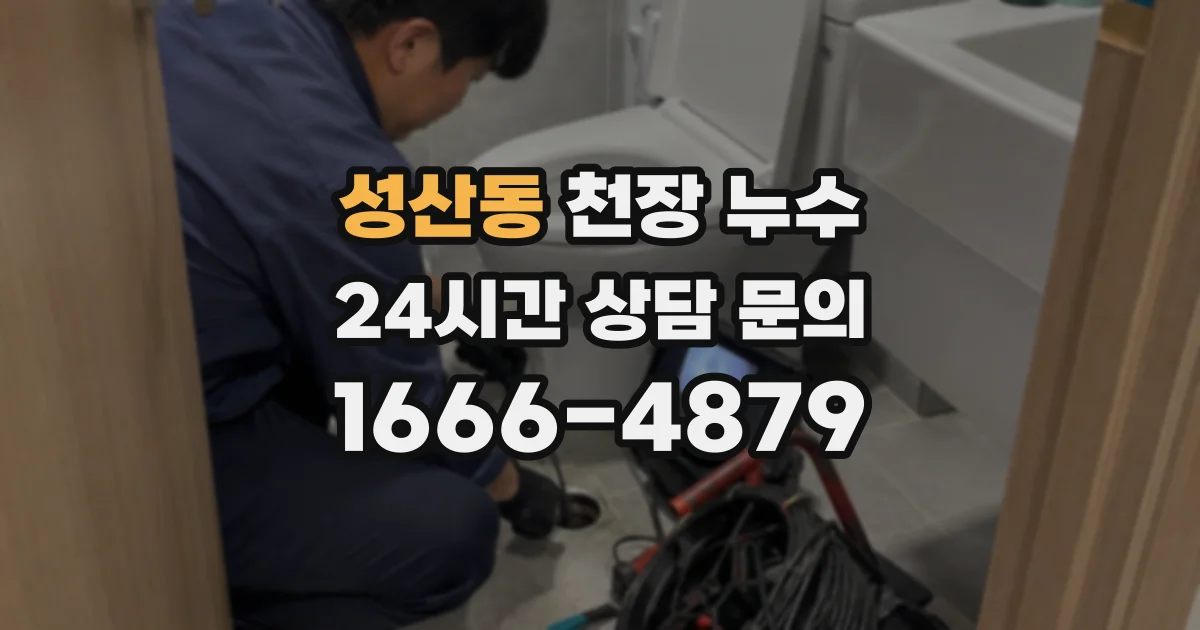 성산동 천장 누수