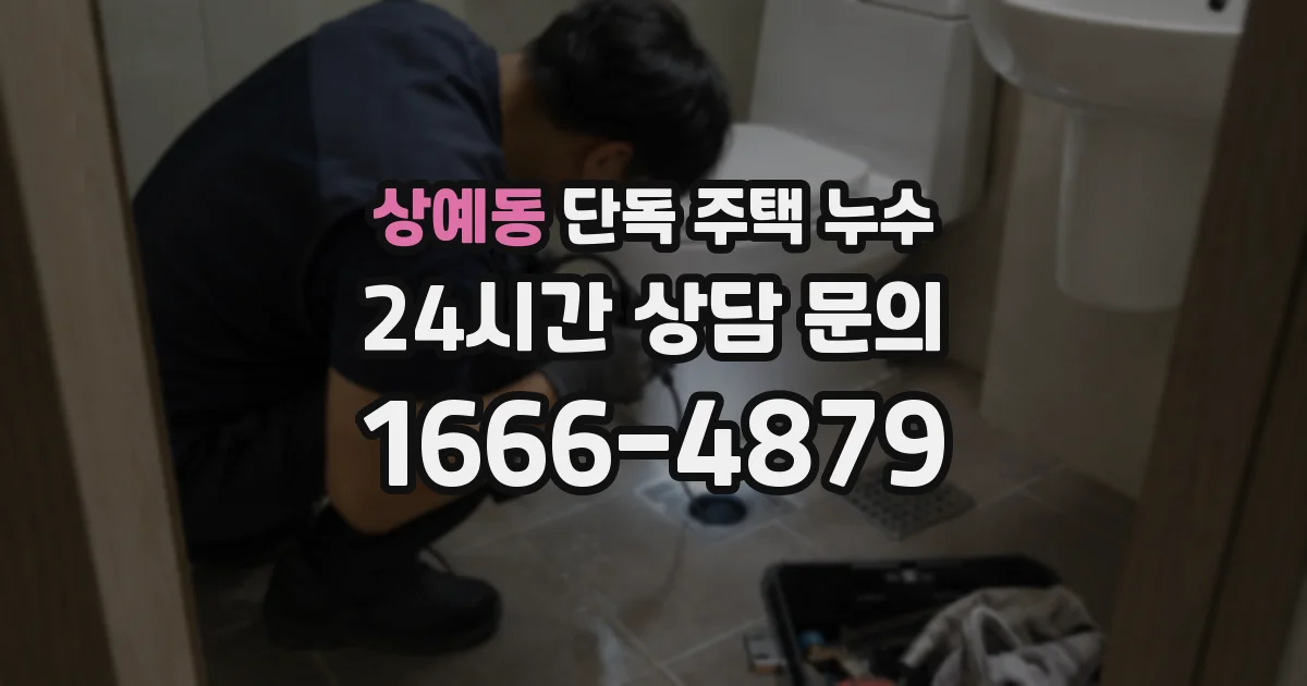 상예동 단독 주택 누수