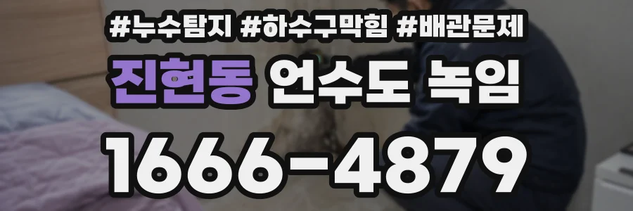 진현동 언수도 녹임