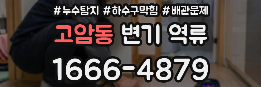 고암동 변기 역류