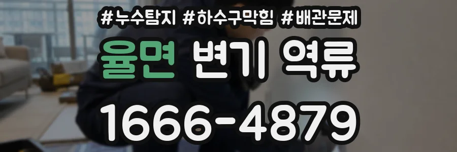 율면 변기 역류