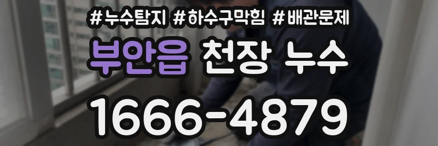 부안읍 천장 누수