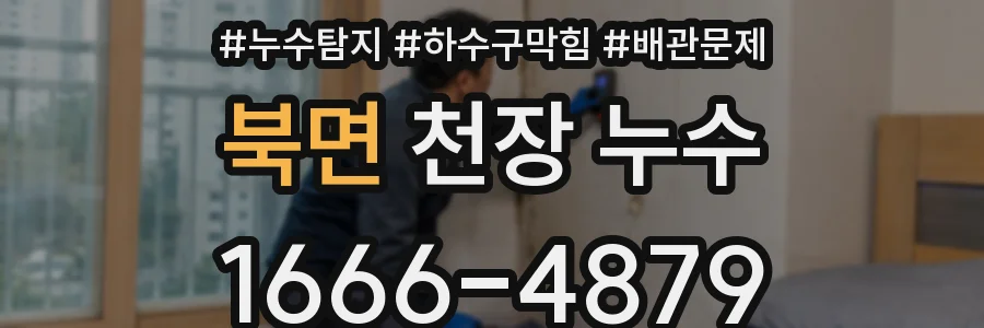 북면 천장 누수