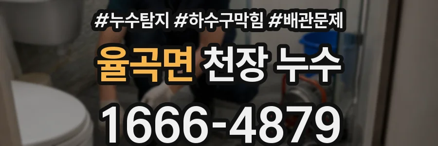 율곡면 천장 누수