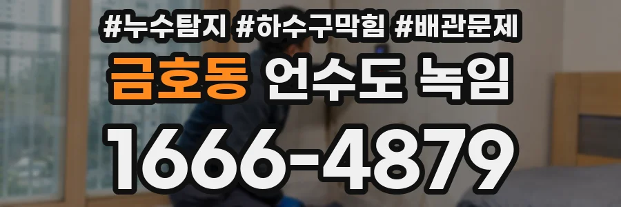 금호동 언수도 녹임