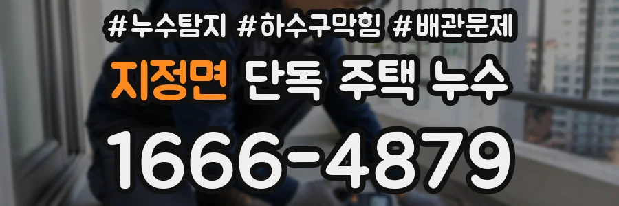 지정면 단독 주택 누수