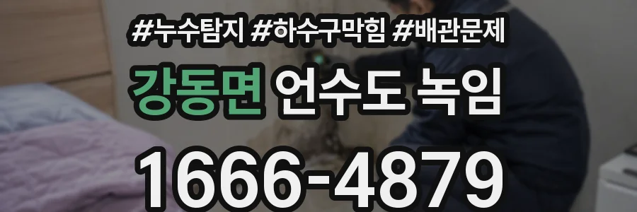 강동면 언수도 녹임