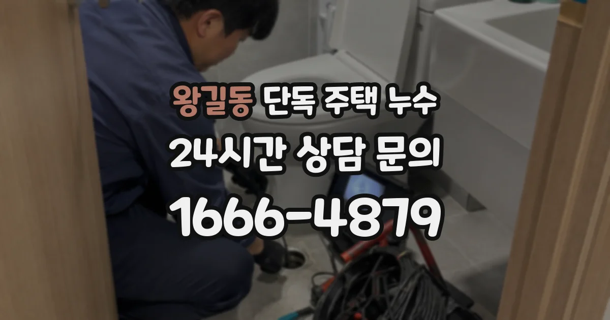 왕길동 단독 주택 누수