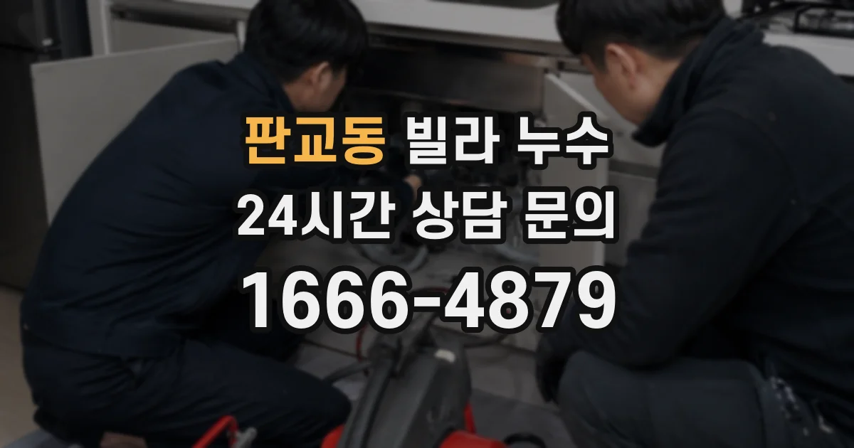 판교동 빌라 누수