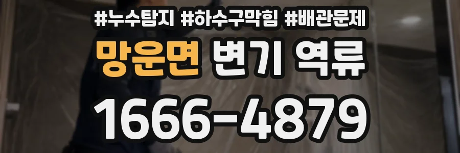 망운면 변기 역류
