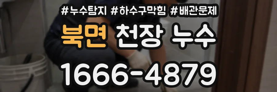북면 천장 누수