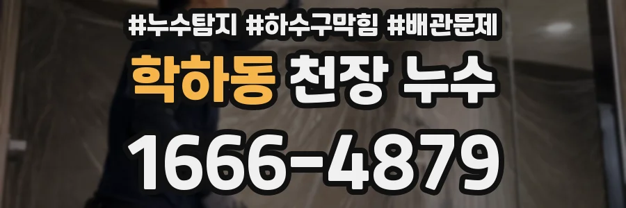 학하동 천장 누수