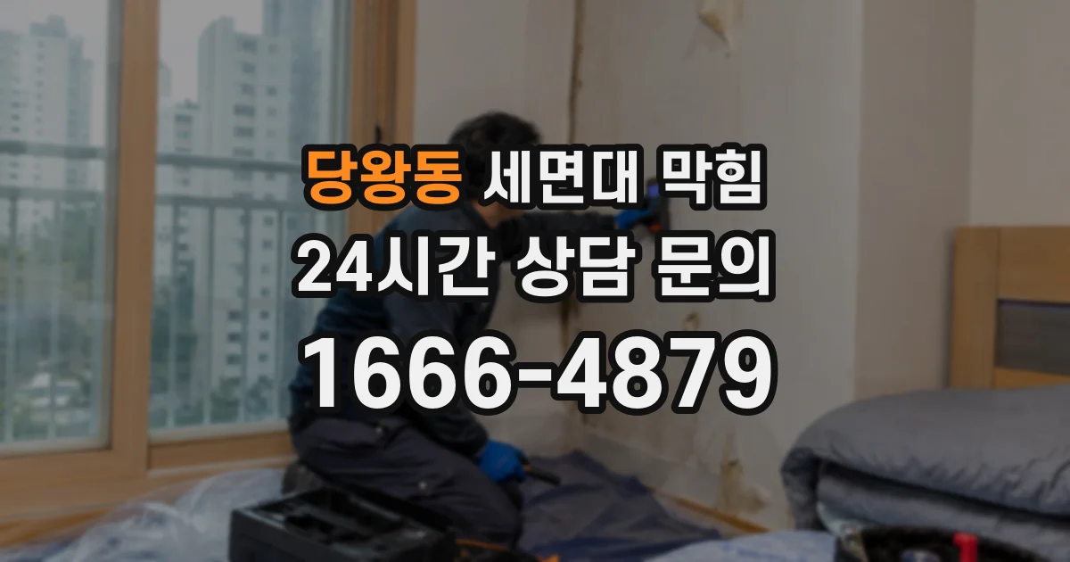 당왕동 세면대 막힘