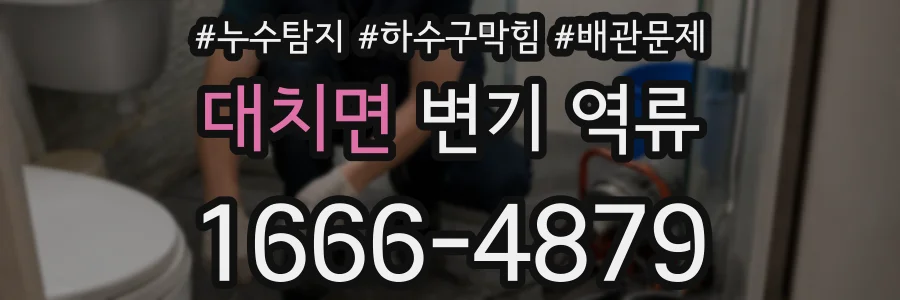 대치면 변기 역류