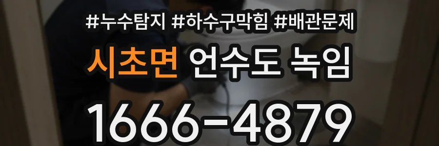 시초면 언수도 녹임
