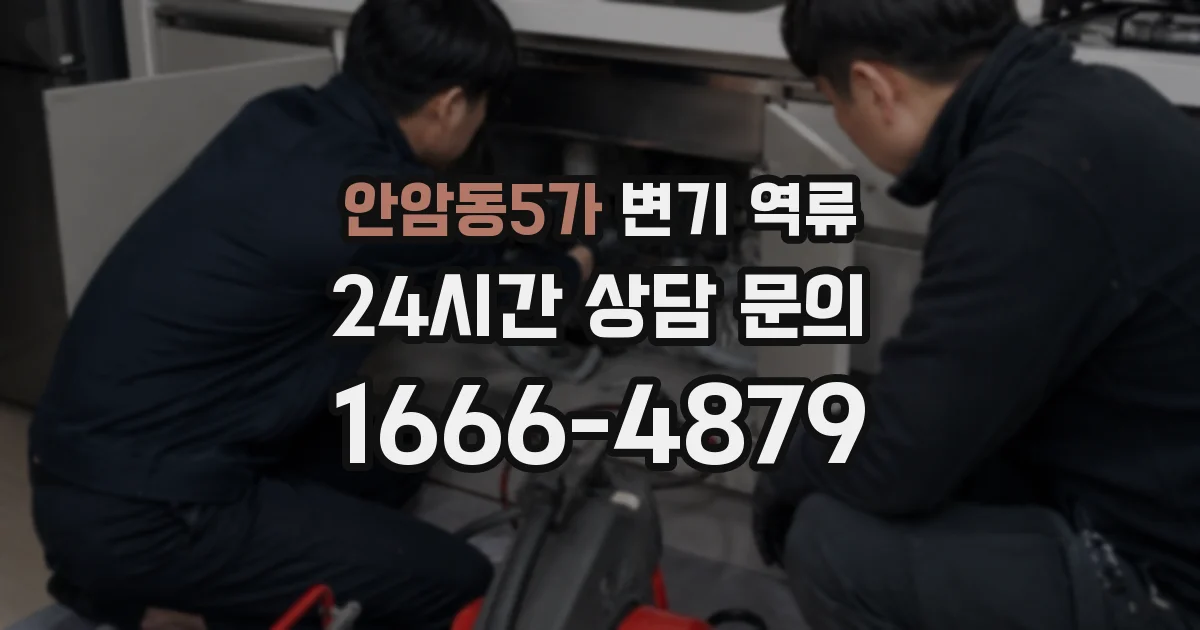 안암동5가 변기 역류