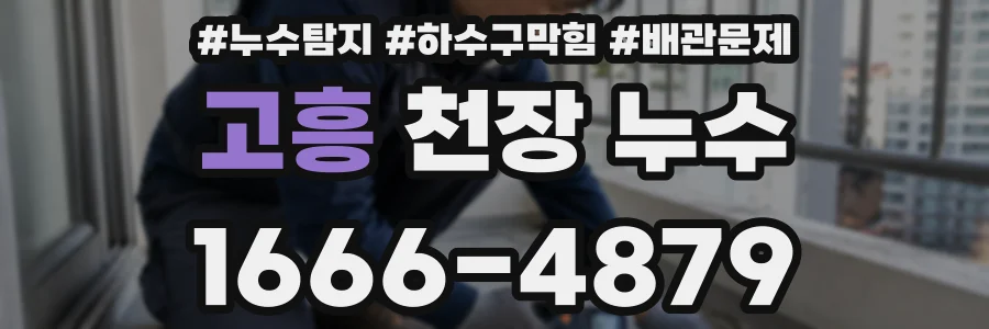 고흥 천장 누수