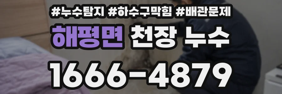 해평면 천장 누수