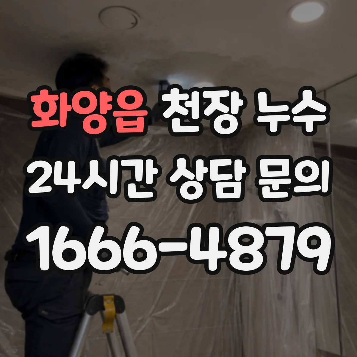 화양읍 천장 누수