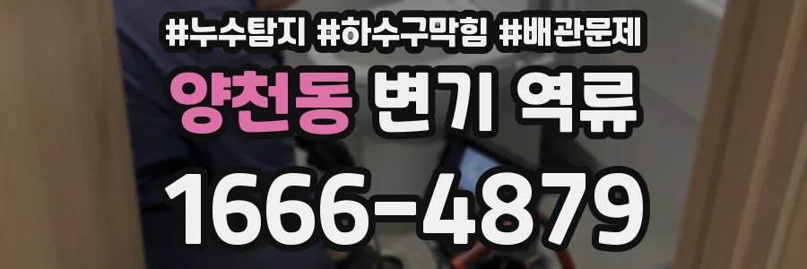 양천동 변기 역류