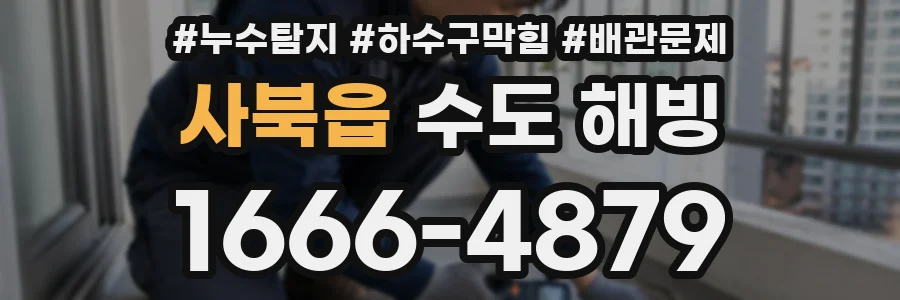 사북읍 수도 해빙