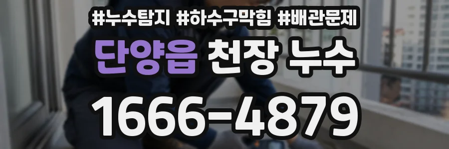 단양읍 천장 누수